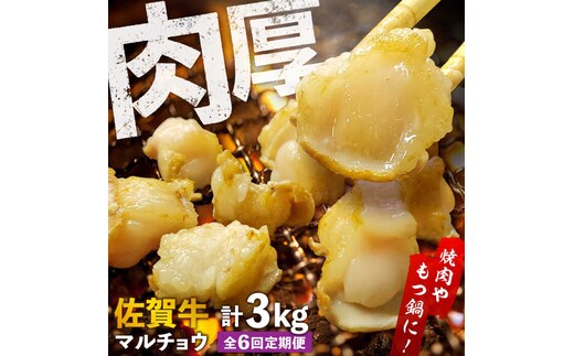 【全6回定期便】 【脂が甘くてぷりっぷり！】佐賀牛ホルモン 焼肉用 小腸 計3kg（250g/袋）味付けなし 吉野ヶ里町/やきとり紋次郎 [FCJ092]