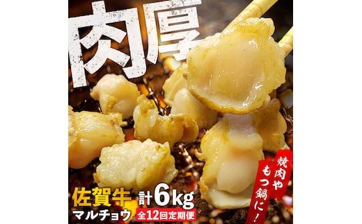 【全12回定期便】 【脂が甘くてぷりっぷり！】佐賀牛ホルモン 焼肉用 小腸 計6kg（250g/袋）味付けなし 吉野ヶ里町/やきとり紋次郎 [FCJ093]