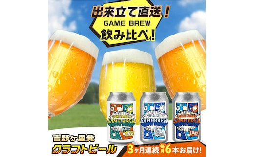 【全3回定期便】クラフトビール GAME BREW 3種 6本セット（3種×2本） 各350ml 飲み比べ CONTINUE?/DILEMMA/LIQUID SWORDS お酒 吉野ヶ里町/西研グラフィックス [FDG006]