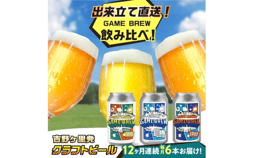 【全12回定期便】クラフトビール GAME BREW 3種 6本セット（3種×2本） 各350ml 飲み比べ CONTINUE?/DILEMMA/LIQUID SWORDS お酒 吉野ヶ里町/西研グラフィックス [FDG008]