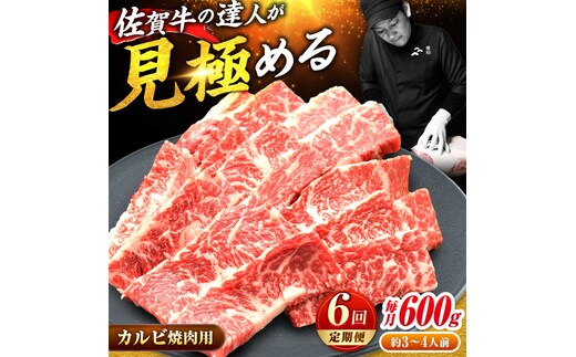 【2026年2月以降発送開始】【全6回定期便】高評価! 佐賀牛 カルビ 600g 肉 牛 牛肉 吉野ヶ里町/ミートフーズ華松 [FAY103]