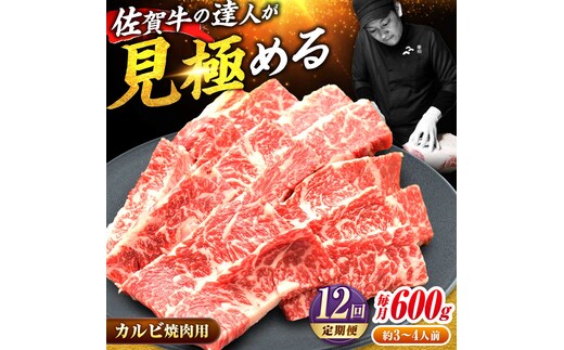 【2026年2月以降発送開始】【全12回定期便】高評価! 佐賀牛 カルビ 600g 肉 牛 牛肉 吉野ヶ里町/ミートフーズ華松 [FAY104]