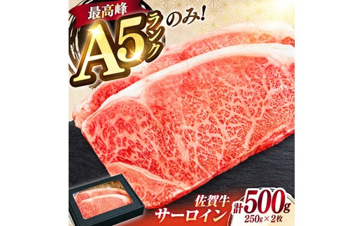 極上 佐賀牛 赤身 A5 サーロイン ステーキ 250g × 2枚 サーロインステーキ ロースステーキ 吉野ヶ里町/KRAZY MEAT [FDR002]