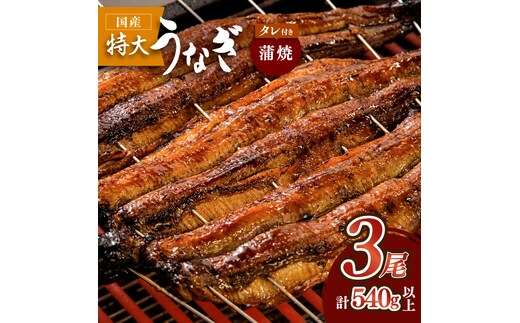 お店の変わらない味！？ふっくらジューシーのこだわり国産うなぎ蒲焼 3枚セット【丸安】 [FAD002]