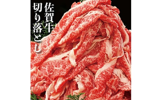 佐賀牛800g 切落し【plan】[FBF002]