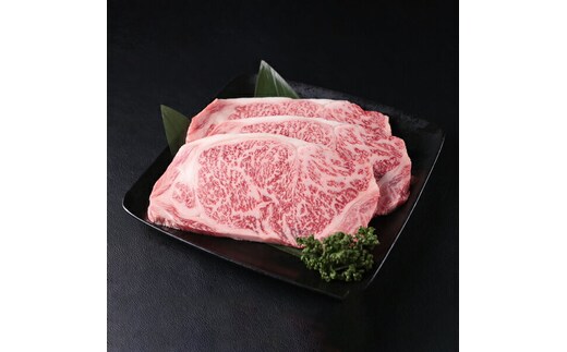 佐賀牛サーロインステーキ750g(250g×3枚)【plan】[FBF004]