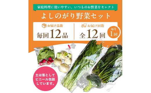 【専用】野菜様 お引き取り専用 旬のvege箱（80サイズ）送料0円 9時〜11時のみ