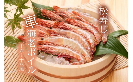 CB006_活車海老ボイル 500g （16～18尾）