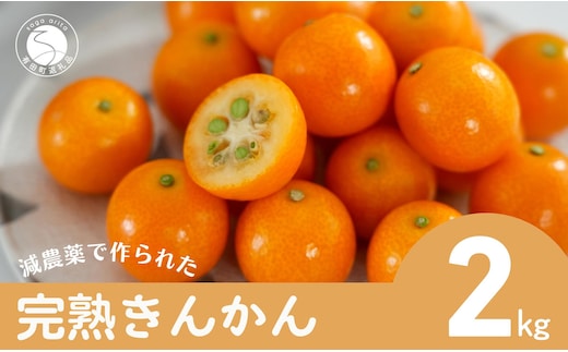 【減農薬栽培！甘くてジューシー！】有田産 完熟金柑 2kg【JA伊万里_きんかん部会】きんかん キンカン 金柑 完熟 甘い 安心 安全 佐賀県産 特別栽培認証 贈り物 ギフト ビタミンC ポリフェノール 12000円 1.2万円 F12-53