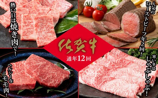 【通年12回】佐賀牛季節のオススメ定期便 ファミリー向け 牛肉 牛肉定期便 黒毛和牛 牛肉定期便 50万円 牛肉定期便 N500-8