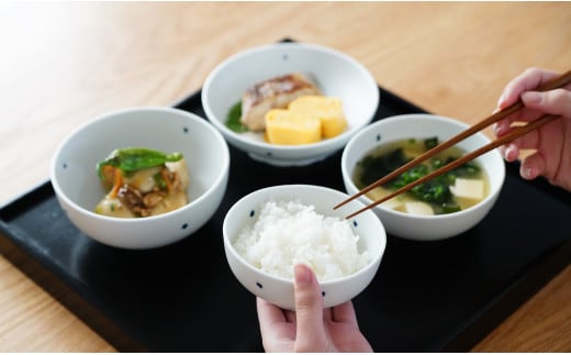 ARITAYAKI MUTSU 石染輪花碗セット A80-27