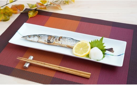 有田焼 irodoriライン パーティー長皿 2枚セット【よう楽庵・たかす】食器 うつわ 器 磁器 陶磁器 皿 長皿 長角皿 プレート 2枚 セット ペア 彩 パーティー 盛皿 魚 和食 洋食 A35-326