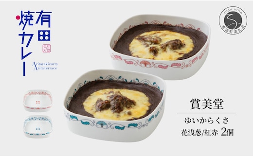 有名窯元 賞美堂 × 有田焼カレー うつわ付き 2個【プレアデス】有田焼 うつわ 器 食器 カレー スパイス 佐賀県産米 人気 お取り寄せ 冷凍 ギフト プレゼント 贈り物 F55-1