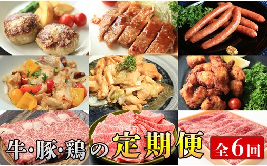 【佐賀牛・ありたぶた・ありたどり定期便】偶数月に佐賀からお肉がいろいろ届く！全6回 牛肉 黒毛和牛 極上の佐賀牛 鶏肉 豚肉 厳選 お肉 おにく ギフト プレゼント 贈り物 N150-10