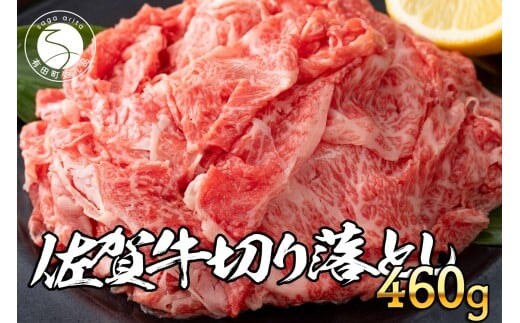 佐賀牛 切り落とし460g【旨味豊富なブランド牛！煮物から炒め物まで多種多様な料理に使える切り落とし肉】N12-17