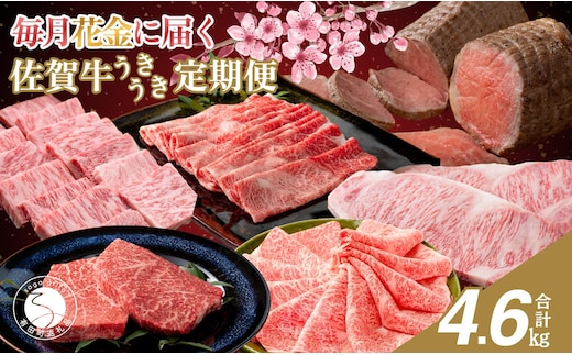 毎月決まった時に届く！花金 定期便 佐賀牛3～4人前をお届け！週末受取希望の方必見 週末が楽しみになる 花の金曜日 フライデーナイト 牛肉 黒毛和牛 極上の佐賀牛 厳選 お肉 おにく ギフト プレゼント 贈り物 N300-7