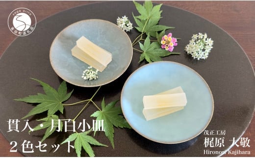 有田焼 貫入月白小皿 2色セット【梶原大敬 茂正工房】器 うつわ 食器 皿 取皿 小皿 菓子皿 2枚 セット ペア 青磁 貫入 青 夏 上品 シンプル 作家 ろくろ 電子レンジ対応 A18-237