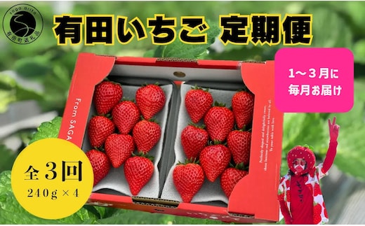 ＜予約受付＞【3回定期便】有田いちご 朝摘み完熟いちご4パックを毎月お届け！ (1月～3月の全3回) 240g×4パック【みゆきファーム】有機肥料にこだわった美味しいいちごです いちごさん F40-12