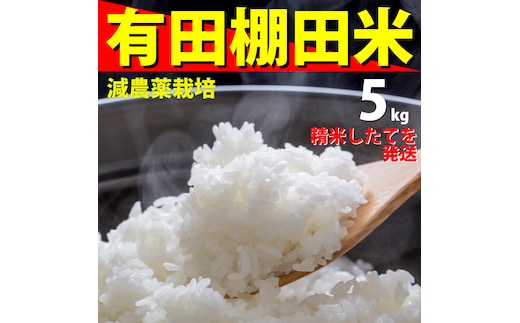 ＜予約受付＞『10月下旬より順次発送』『数量限定』令和8年産 有田 棚田米 5kg 米【みゆきファーム】精米済 白米 5kg 減農薬 organic 棚田米 有田町 限定 新米 ft001