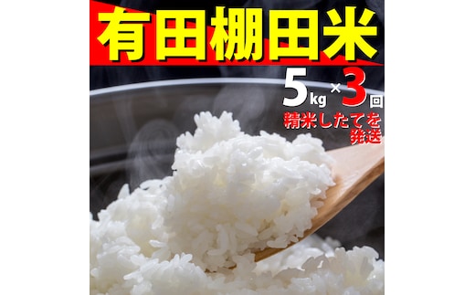 ＜予約受付＞『10月下旬より順次発送』『数量限定』令和8年産 有田 棚田米 5kg<3回定期便> 合計 15kg【みゆきファーム】米 5kg 精米済 白米 定期便 減農薬 organic 棚田米 有田町 令和8年度産 新米 ft002
