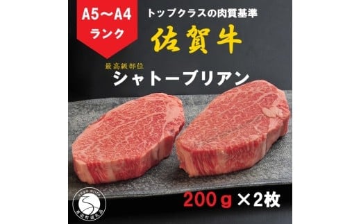 【12/15までの決済完了で年内発送】佐賀牛 シャトーブリアン（200g×2枚）【陶窯みかわや】最高級 希少部位 A5 A4 黒毛和牛 厳選 ブランド牛 霜降り お肉の女王 400g ステーキ 110000円 11万円 N110-1