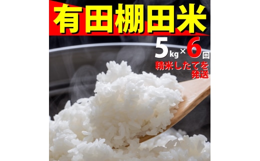 ＜予約受付＞『10月下旬より順次発送』『数量限定』令和8年産 有田 棚田米 5kg<6回定期便> 合計 30kg【みゆきファーム】米 5kg 精米済 白米 定期便 減農薬 organic 棚田米 有田町 令和8年度産 新米 ft003