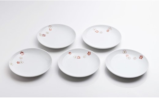 肥前赤絵窯元 鷹巣 紅白梅４寸皿５枚組 A35-34