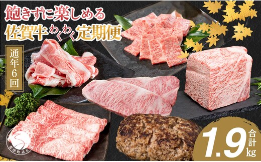 【偶数月にお届け！】佐賀牛 定期便 通年6回コース 牛肉 黒毛和牛 極上の佐賀牛 カルビ焼肉 ロースブロック バラスライス ロースステーキ しゃぶしゃぶ ハンバーグ 厳選 お肉 おにく ギフト プレゼント 贈り物 N120-13