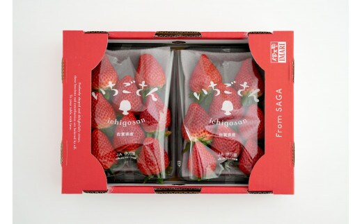 イチゴ‼️他の方はご購入できません‼️ 選べる♪】採れたて完熟いちご | 農業生産法人ヤマセン