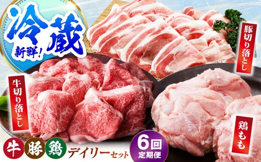 【冷蔵発送】【全6回定期便】三栄のデイリーセット＜ 牛 豚 鶏 ＞【肉の三栄】 佐賀牛 切り落とし 豚 ありたどり 牛肉 豚肉 鶏肉 [HAA201]