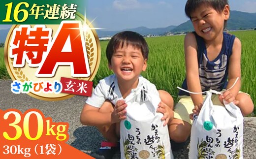 令和7年産 さがびより 玄米 30kg【ひなたむらのお米】 [HAC001] | d 