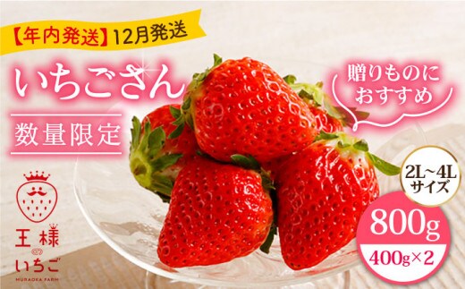 【先行予約】【農薬0への挑戦】【12月発送】王様のいちご いちごさん 800g ( 400g×2箱 )【むらおか農園】 [HAF001]
