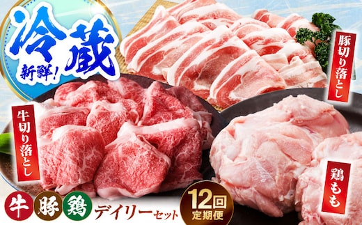 【冷蔵発送】【全12回定期便】三栄のデイリーセット＜ 牛 豚 鶏 ＞【肉の三栄】 佐賀牛 切り落とし 豚 ありたどり 牛肉 豚肉 鶏肉 [HAA202]
