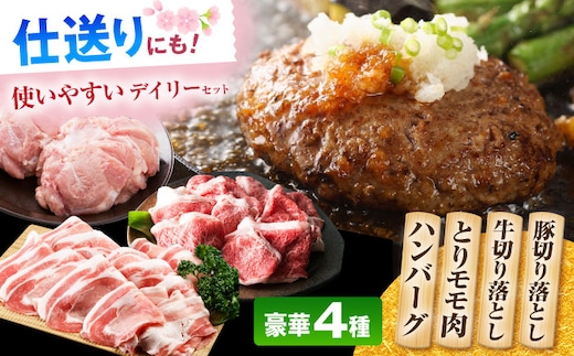ハンバーグ付き！三栄のデイリーセット 【肉の三栄】 佐賀牛 佐賀県産豚 ありたどり 切り落とし [HAA203]