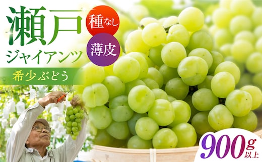 【先行予約】 瀬戸ジャイアンツ 900g以上 【小林農園】 / ブドウ ぶどう 果物 種なし [HAX003]