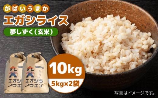 【12月発送】令和7年産 がばいうまかエガシライス ( 夢しずく ) 玄米 10kg ( 5kg×2袋 ) 【江頭農園】 [HAU005]