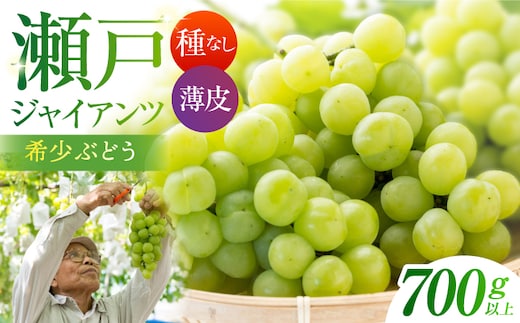 【先行予約】 瀬戸ジャイアンツ 700g以上 【小林農園】 / ブドウ ぶどう 果物 種なし [HAX005]