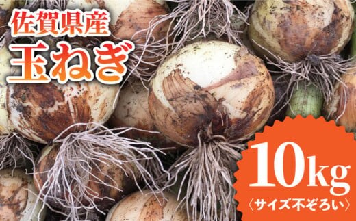 【先行予約】【訳あり】＜2026年3月下旬以降発送＞佐賀県産 玉ねぎ 10kg【八丁屋】 [HAO007]
