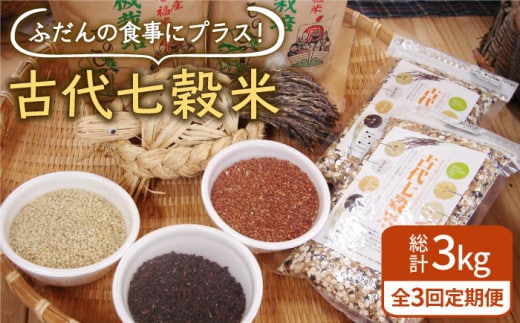 【全3回定期便】古代七穀米 1kg ( 500g×2個セット ) 【だいちの家】[HAG008]