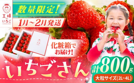 【先行予約】【農薬0への挑戦】【1～2月発送】王様のいちご いちごさん 800g ( 400g×2箱 )【むらおか農園】 [HAF009]