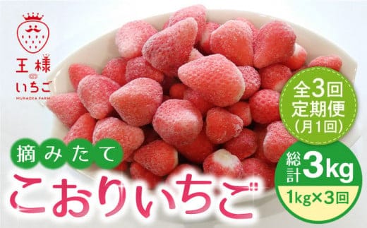 【全3回定期便】王様のいちご 摘みたてこおりいちご 1kg ( 冷凍いちご ) いちごさん さがほのか【むらおか農園】 [HAF011]