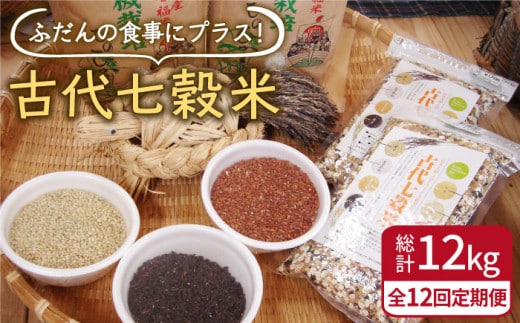 【全12回定期便】古代七穀米 1kg ( 500g×2個セット ) 【だいちの家】[HAG011]