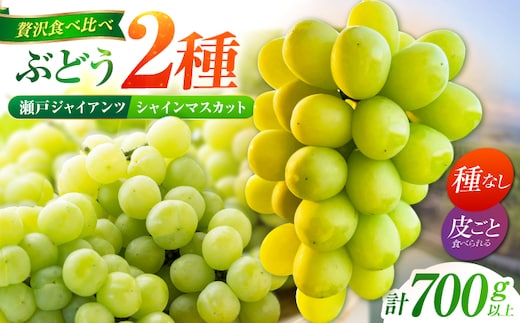 【先行予約】 ぶどう2種詰め合わせ（瀬戸ジャイアンツ・シャインマスカット） 総計700g以上 【小林農園】 / ブドウ ぶどう 果物 種なし [HAX011]