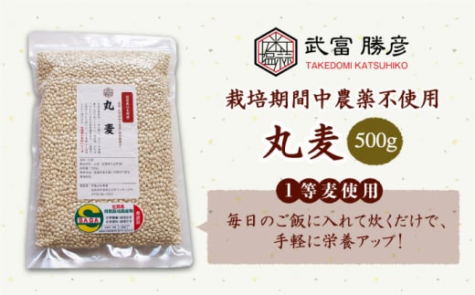 【栽培期間中農薬不使用】丸麦 500g＜1等麦使用＞江北町産 サチホゴールデン【葦農】[HAJ012]