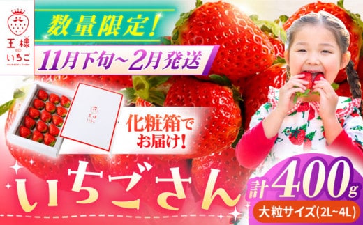【先行予約】【農薬0への挑戦】【1～2月発送】王様のいちご いちごさん 400g 1箱【むらおか農園】 [HAF013]