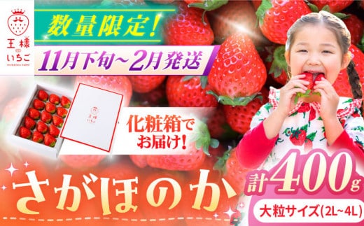 【先行予約】【農薬0への挑戦】【1～2月発送】王様のいちご さがほのか 400g 1箱【むらおか農園】 [HAF014]