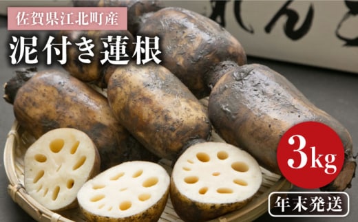 【年末発送 ※12/25～27発送】＜地元江北町産＞泥付き 蓮根 3kg【百武青果】 [HAE015]