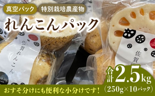【先行予約】【特別栽培農産物 認定】＜地元江北町産＞佐賀 れんこんパック 10パック ( 250g×10パック ) 【百武青果】レンコン 真空パック [HAE016]