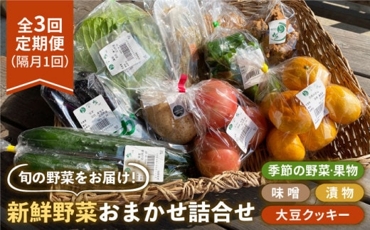 【隔月発送】【全3回定期便】新鮮野菜・加工品 おまかせ詰め合わせ【だいちの家】[HAG016]