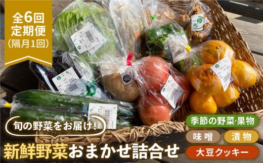 【隔月発送】【全6回定期便】新鮮野菜・加工品 おまかせ詰め合わせ【だいちの家】[HAG017]